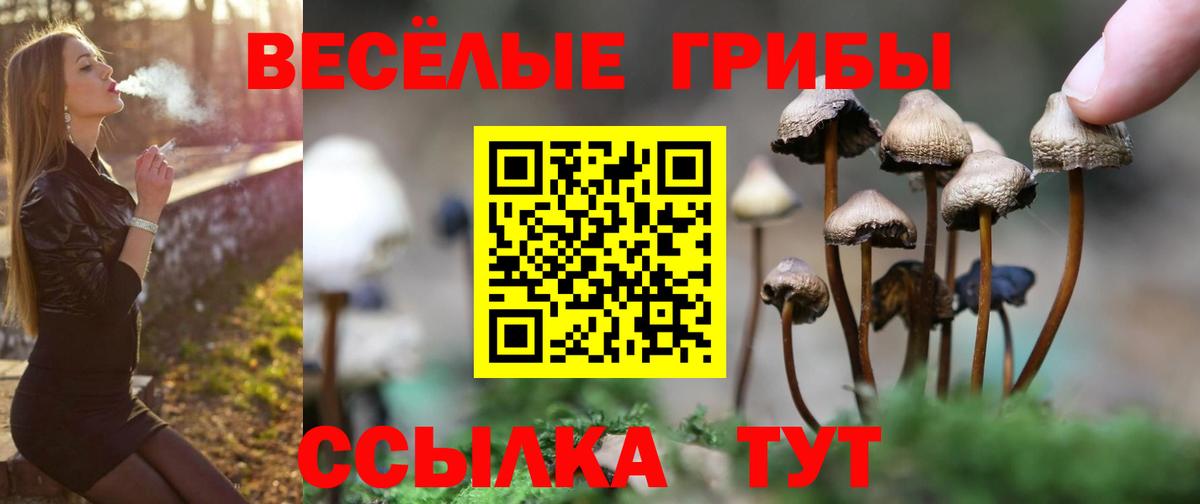 Псилоцибиновые грибы GOLDEN TEACHER Арсеньев